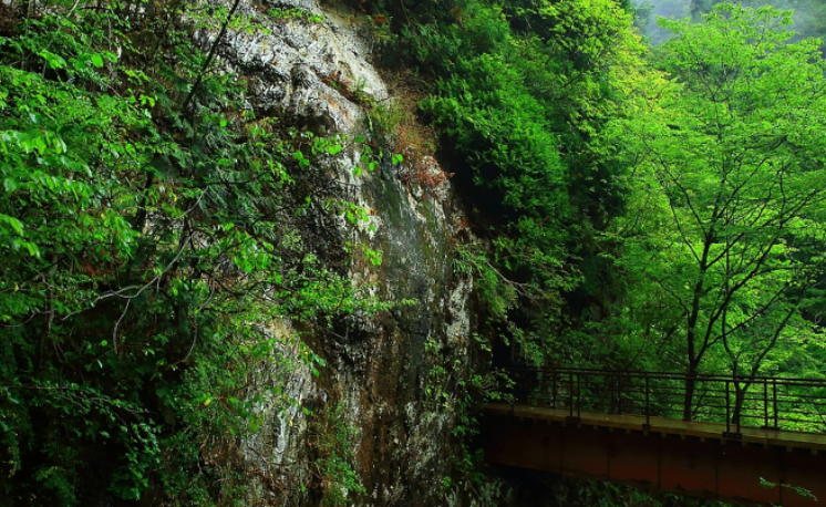 景區(qū)成功的營銷是游客第一時間向親友推薦式炫耀