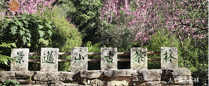 普洱景邁山古茶林文化景觀已于全面實(shí)行免費(fèi)預(yù)約入園機(jī)制