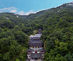 景區(qū)運營解決方案3