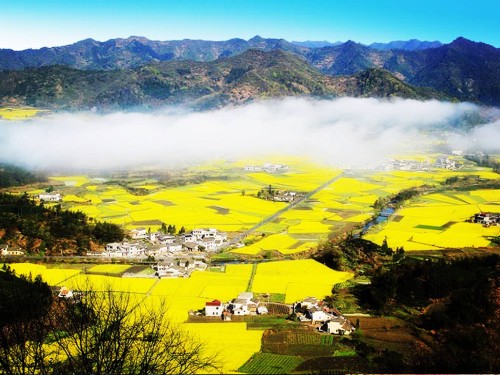 做景區(qū)不賺錢，問題究竟出在哪？ 