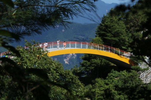 20190428744242.jpg 12.jpg