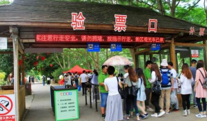 景區(qū)電子二維碼票相比手撕票優(yōu)勢(shì)在哪