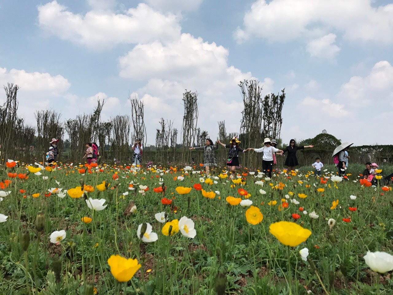 又有景區(qū)倒閉了踩了什么坑，景區(qū)票務(wù)系統(tǒng)可以解決哪些？ 