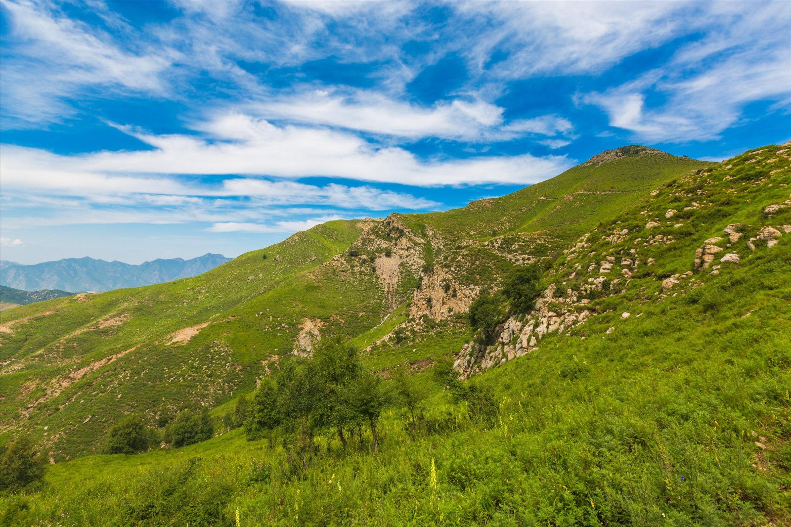 門票預(yù)約小程序都有哪些？真的好用嗎？