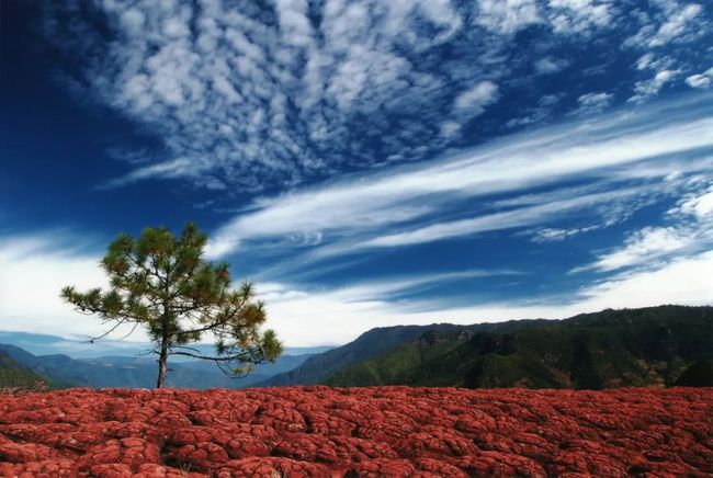 旅游景區(qū)售票系統(tǒng)接入美團(tuán)的意義是什么？實(shí)現(xiàn)線上一體化