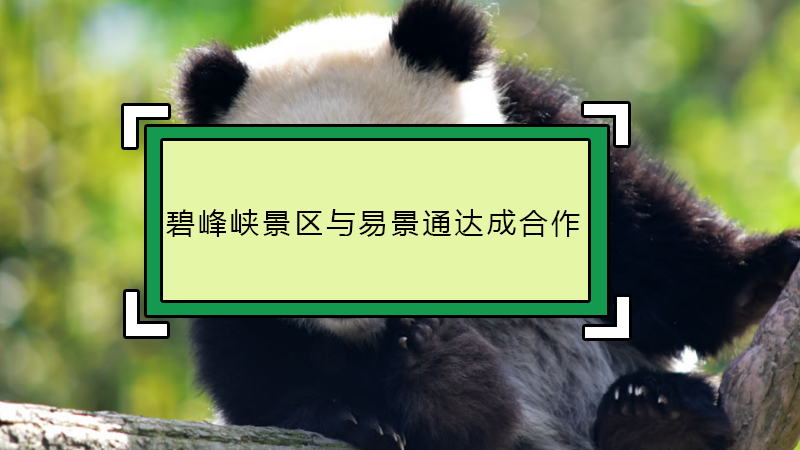 四川電子票務(wù)管理軟件