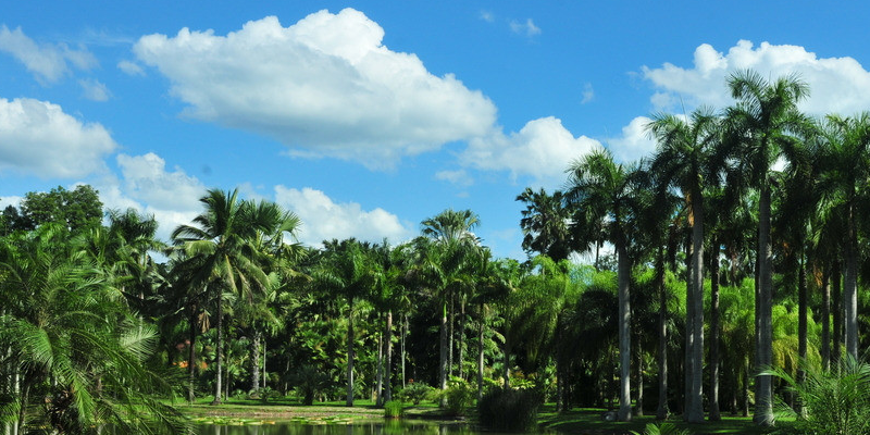 旅游景區(qū)營銷方案:知識(shí)營銷