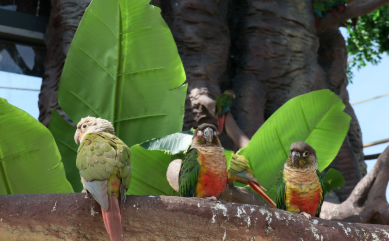 網紅景區(qū)可持續(xù)發(fā)展方案