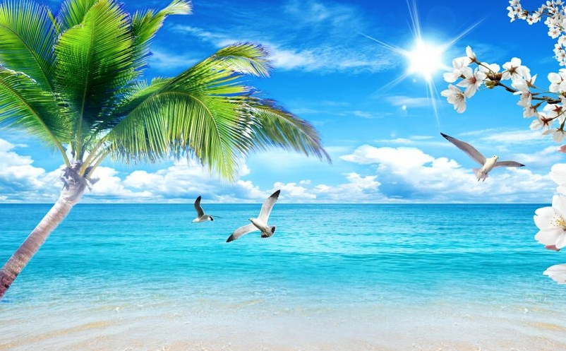 景區(qū)內(nèi)容營(yíng)銷