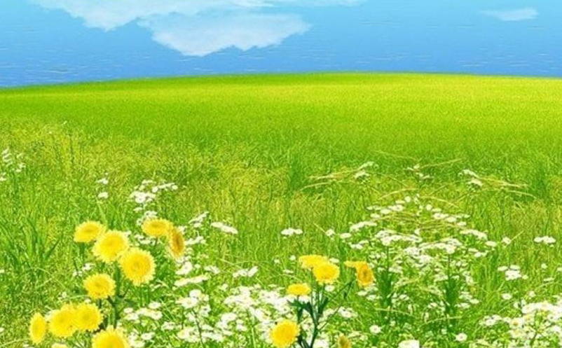 景區(qū)自媒體營(yíng)銷存在的問題