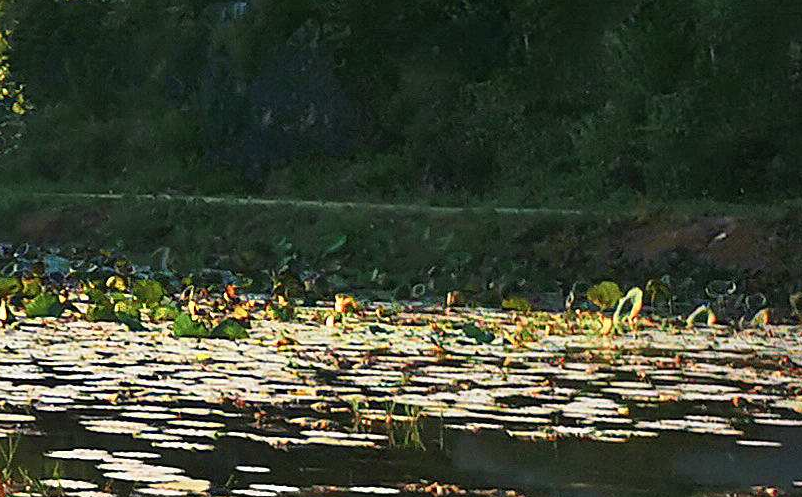 景區(qū)自媒體營(yíng)銷(xiāo)應(yīng)根據(jù)自媒體特點(diǎn)和景區(qū)特色選擇恰當(dāng)?shù)臓I(yíng)銷(xiāo)手段