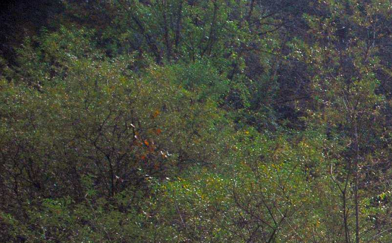 旅游景區(qū)微博營(yíng)銷(xiāo)策略