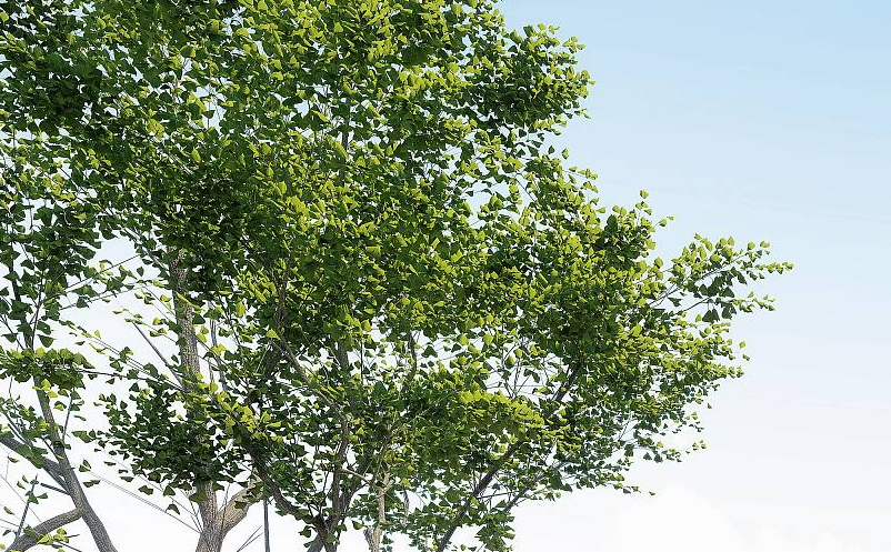 抖音等短視頻對(duì)旅游景區(qū)營(yíng)銷的價(jià)值