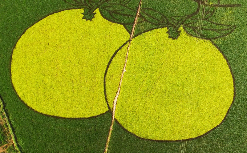 旅游景區(qū)如何用微信公眾號打造私域流量