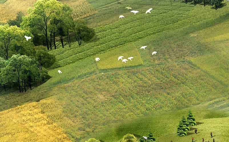 旅游+互聯(lián)網(wǎng)