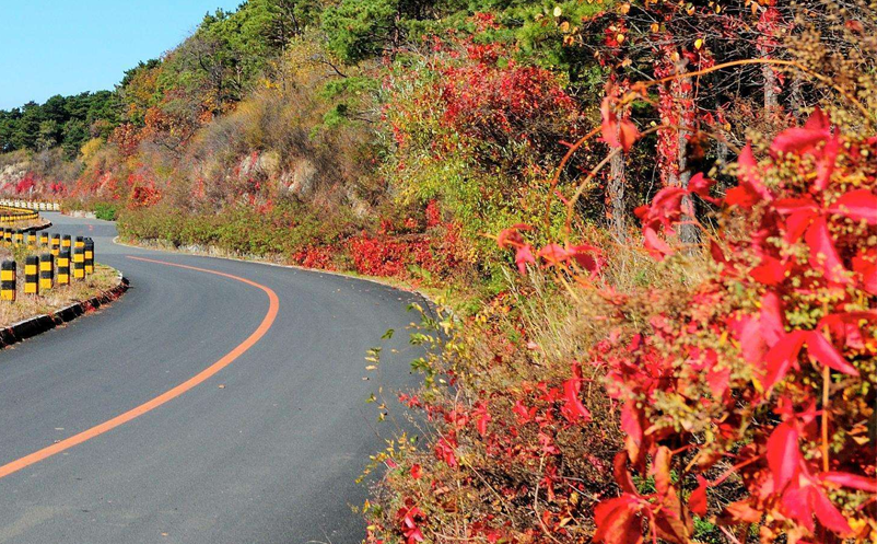 旅游景區(qū)如何提高員工服務(wù)意識