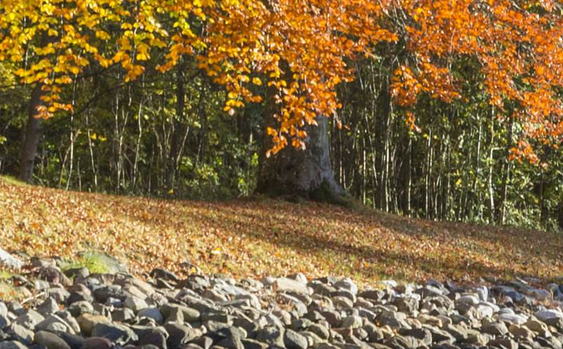景區(qū)營(yíng)銷(xiāo)組織方案