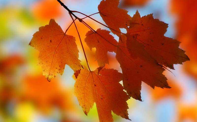 景區(qū)新媒體營(yíng)銷