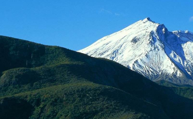 景區(qū)新媒體營(yíng)銷