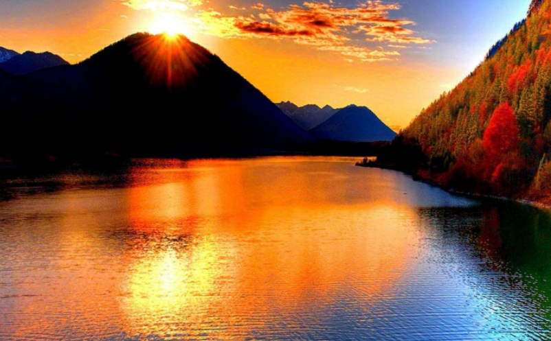 1645687682929566.png image.png