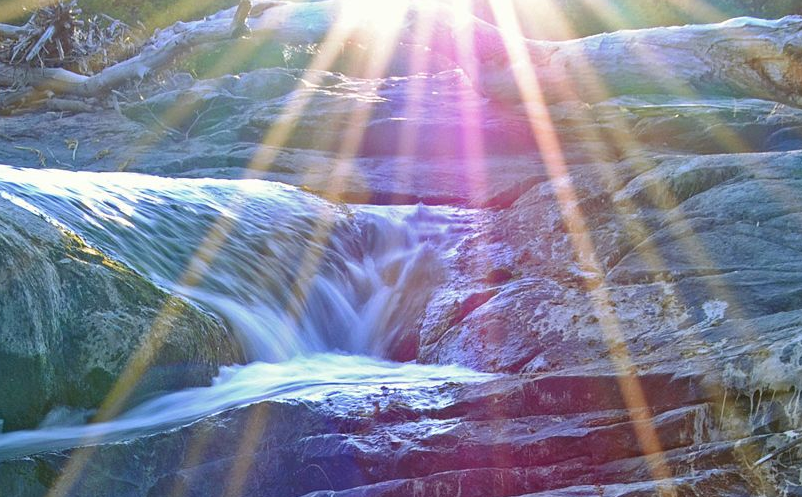 大學(xué)生旅游者成為旅游景區(qū)不可忽視的細(xì)分市場