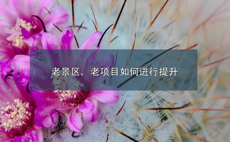 老景區(qū)、老項(xiàng)目如何進(jìn)行提升