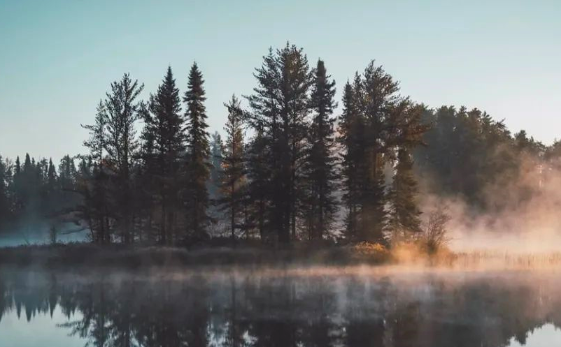 農(nóng)業(yè)農(nóng)村部發(fā)文：打造一批田園康養(yǎng)基地