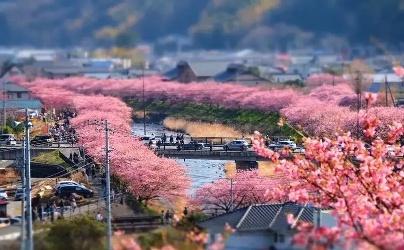 1647418478374062.png image.png