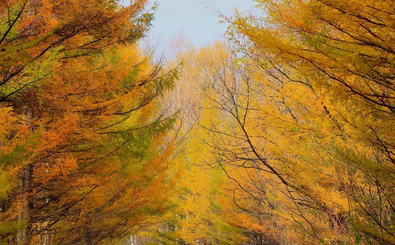 建立智慧景區(qū)時(shí)便需要注意這些要點(diǎn)