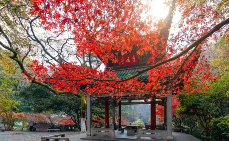 網紅景區(qū)憑什么脫穎而出？