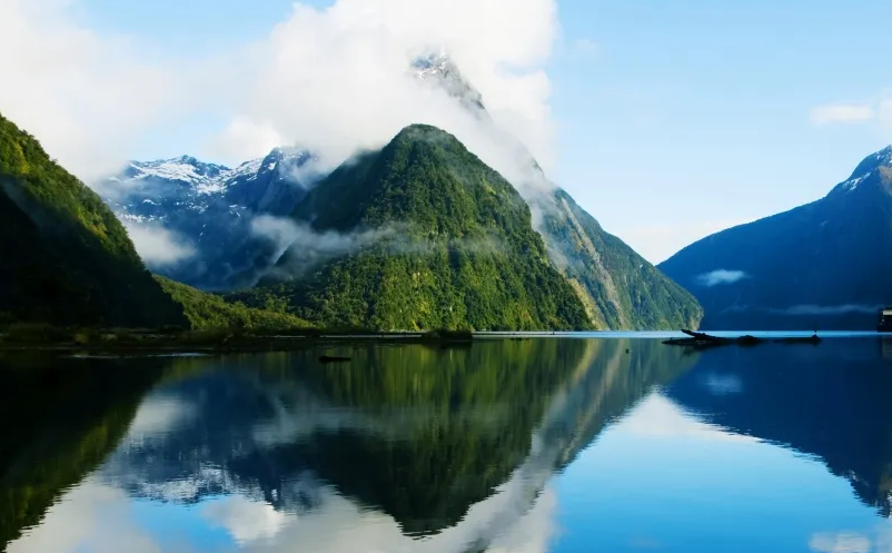 1651907366661142.png image.png