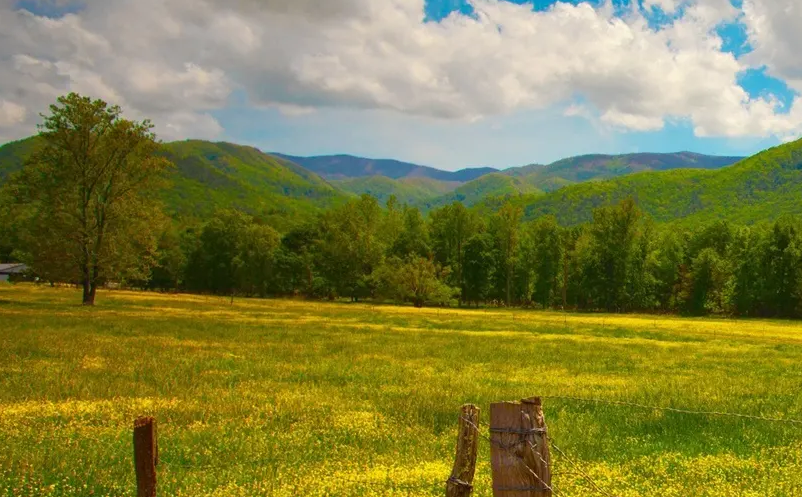 旅游要素配置從“組合化”轉(zhuǎn)向“獨(dú)立化”