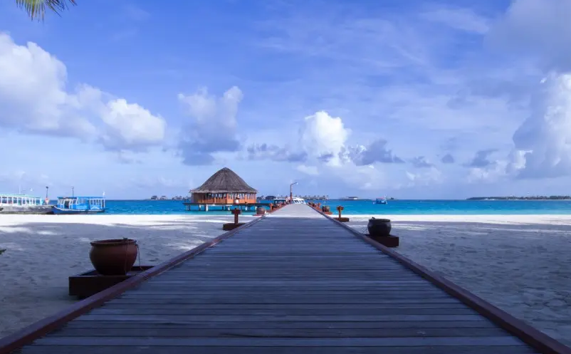 旅游方式從“生活方式”轉(zhuǎn)向“生活+學(xué)習(xí)+成長(zhǎng)”三位一體的方式