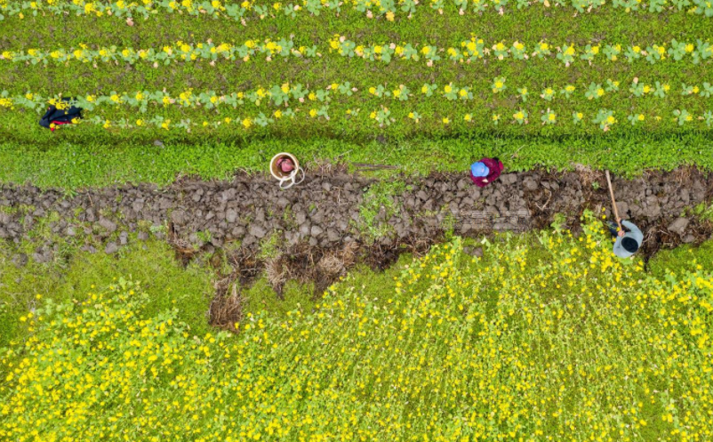 如何打造鄉(xiāng)村旅游“浸入式”體驗(yàn)