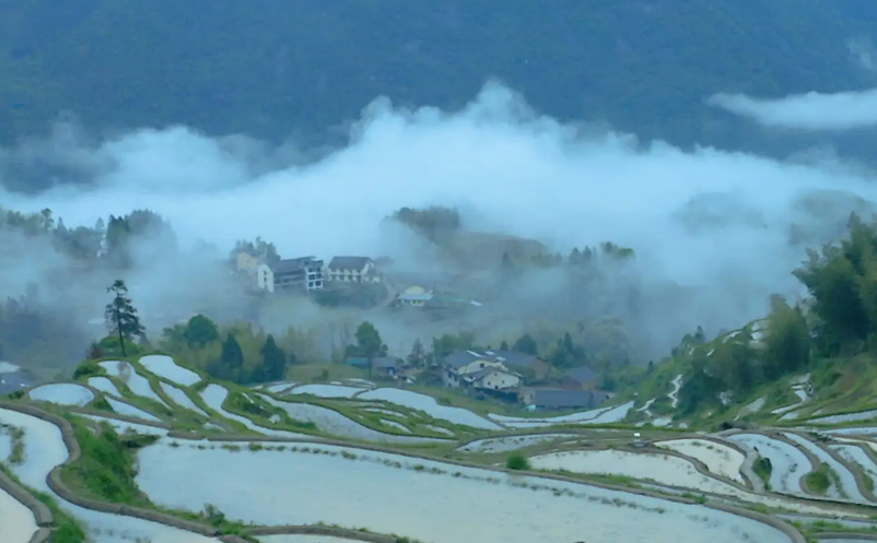 1652951678364004.png image.png