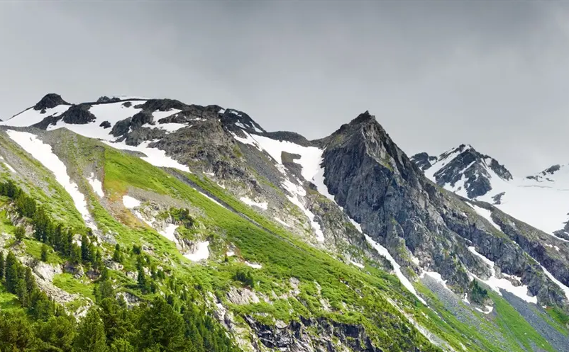 1653375123529629.png image.png