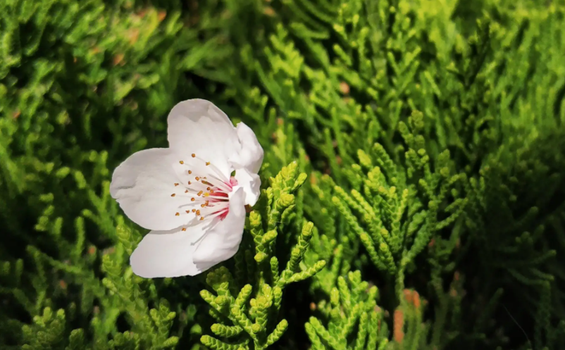 元宇宙對旅游產(chǎn)業(yè)發(fā)揮積極的影響 