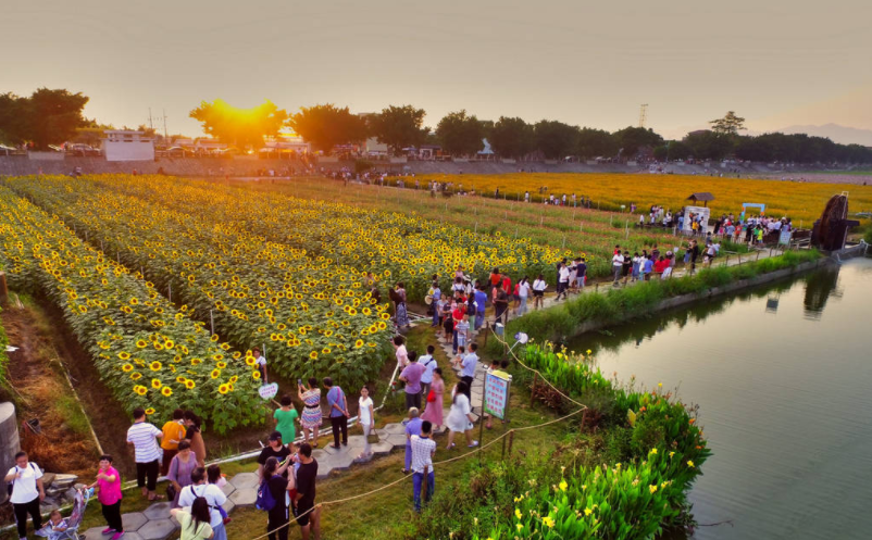 鄉(xiāng)村振興要怎么干?看看鄉(xiāng)村振興發(fā)展各省鄉(xiāng)村振興措施