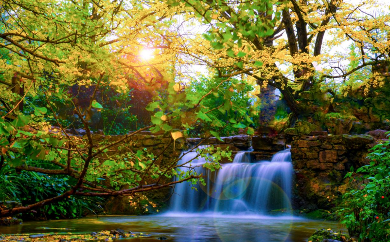 如何打造“網(wǎng)紅村”，打造“網(wǎng)紅村”失敗的原因