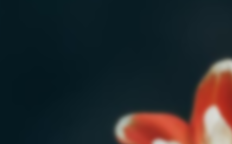 微信票務(wù)系統(tǒng)