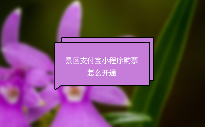 景區(qū)支付寶小程序購票怎么開通？