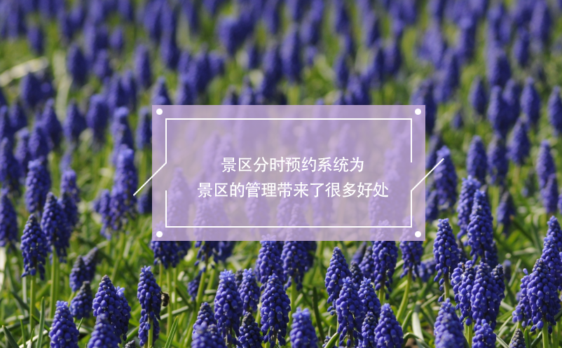 景區(qū)分時(shí)預(yù)約系統(tǒng)為景區(qū)管理帶來(lái)了很多好處