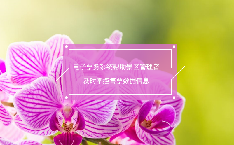 電子票務(wù)系統(tǒng)幫助景區(qū)管理者及時掌控售票數(shù)據(jù)信息