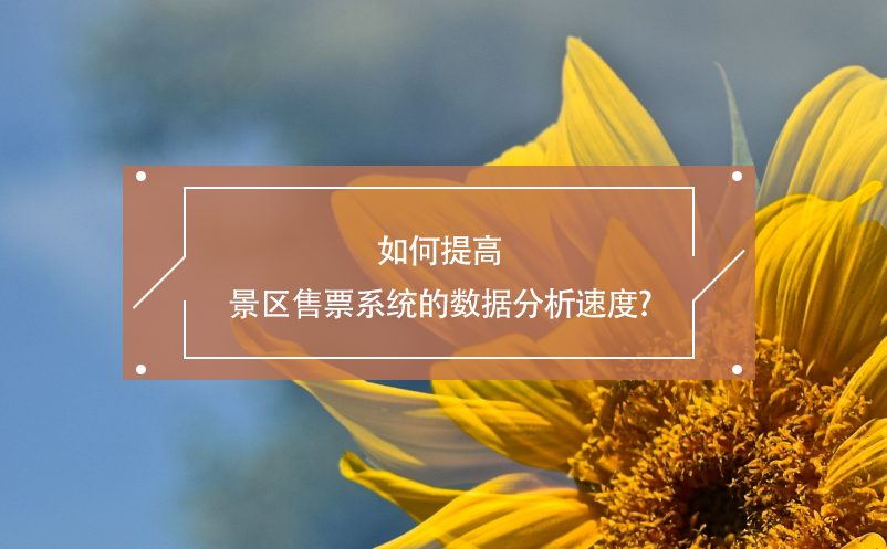 如何提高景區(qū)售票系統(tǒng)的數(shù)據(jù)分析速度?