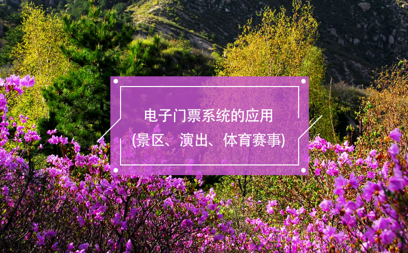 電子門票系統(tǒng)的應用(景區(qū)、演出、體育賽事)