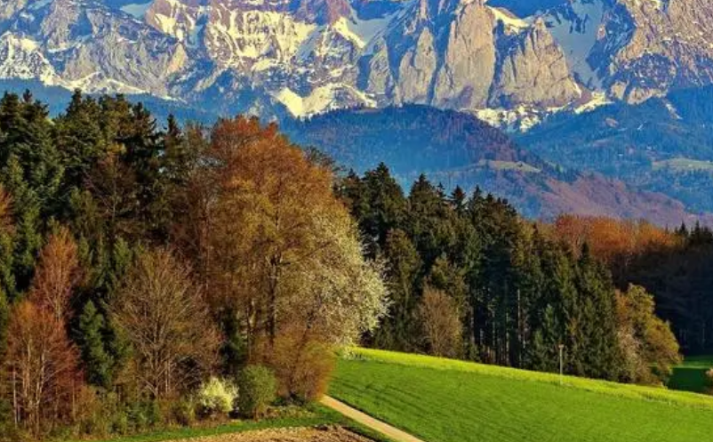 社保卡文旅一卡通（社?？ń尤刖皡^(qū)票務系統(tǒng)）