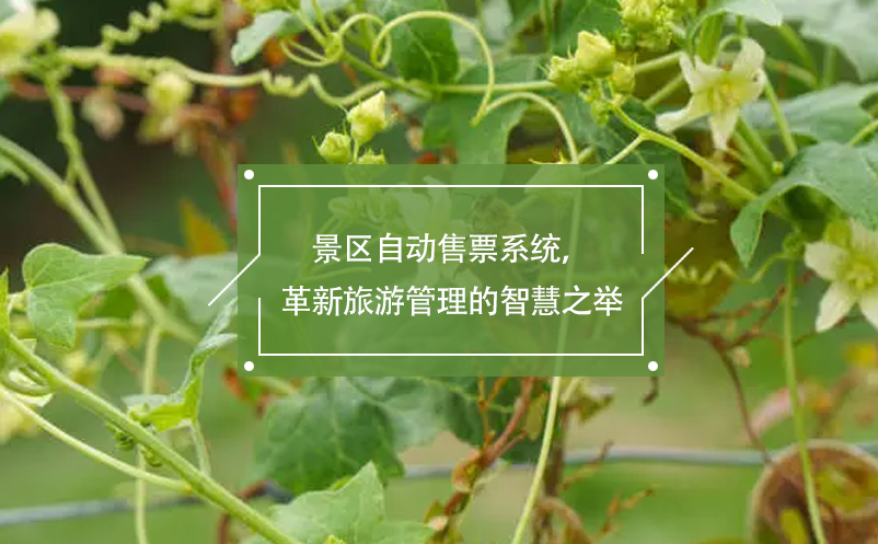 景區(qū)自動售票系統(tǒng)，革新旅游管理的智慧之舉