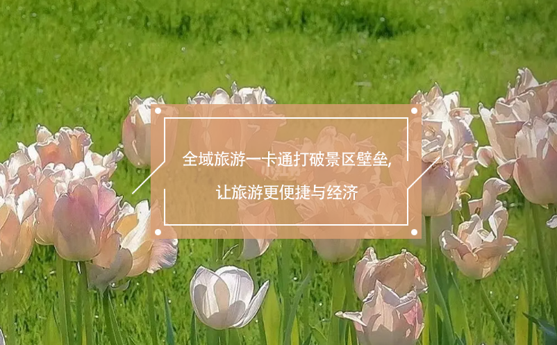 全域旅游一卡通打破景區(qū)壁壘,讓旅游更便捷與經(jīng)濟