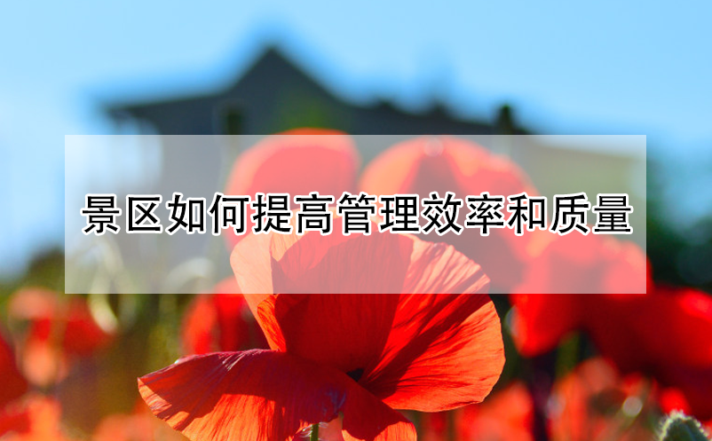 景區(qū)如何提高管理效率和質量