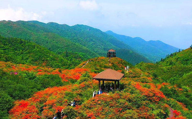 舉例說(shuō)明景區(qū)票務(wù)系統(tǒng)如何提升景區(qū)的競(jìng)爭(zhēng)力和運(yùn)營(yíng)效率